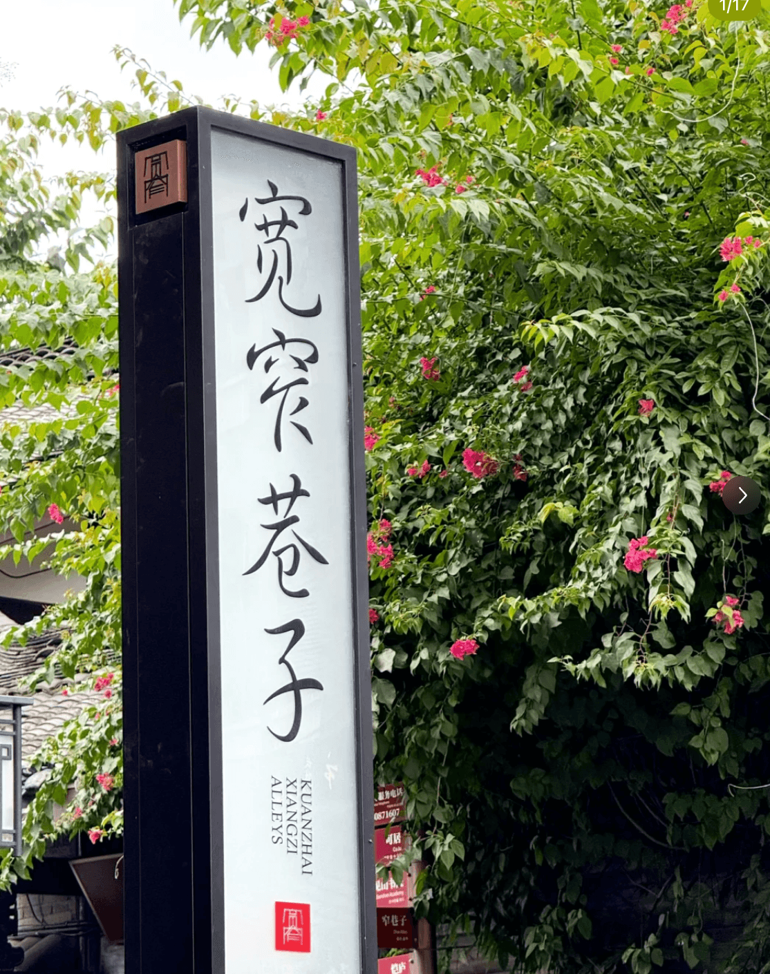 Calle Kuanzhai de Chengdú: Un Viaje Intemporal a Través de la Vieja y Nueva Chengdú
