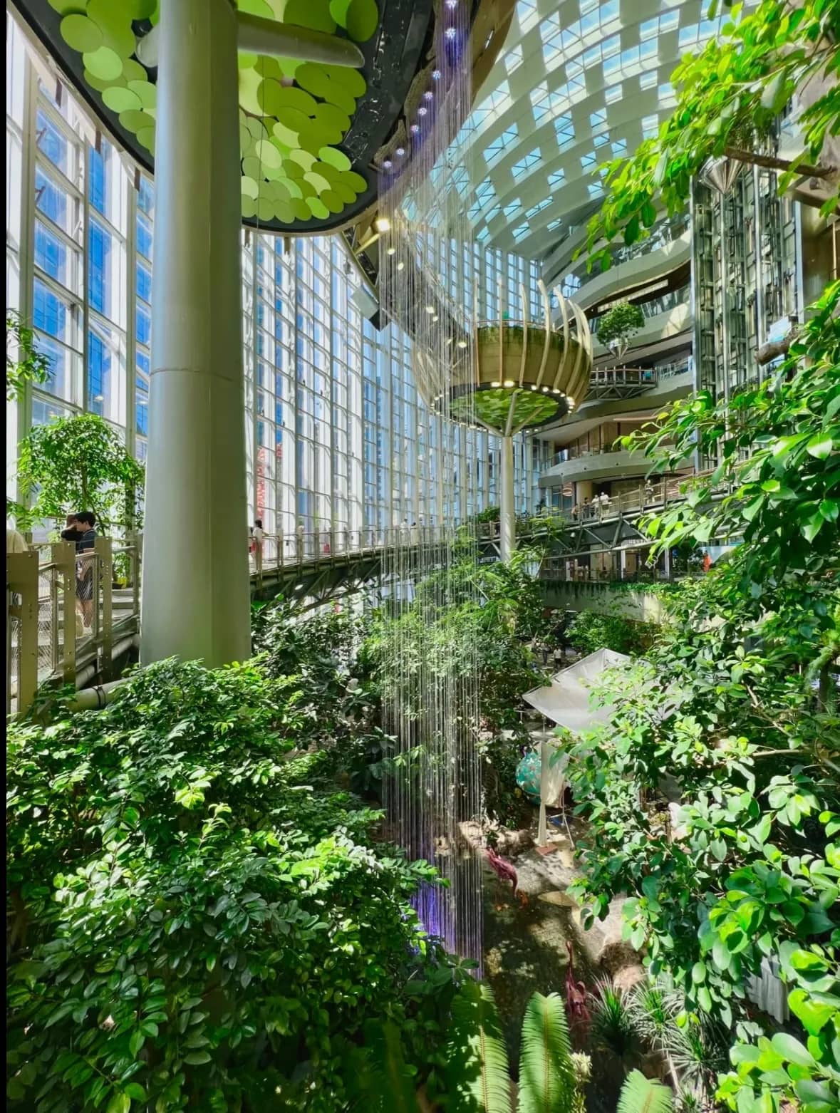 Chongqing The Ring Mall: Un Oasis Futurista en el Corazón de la Ciudad