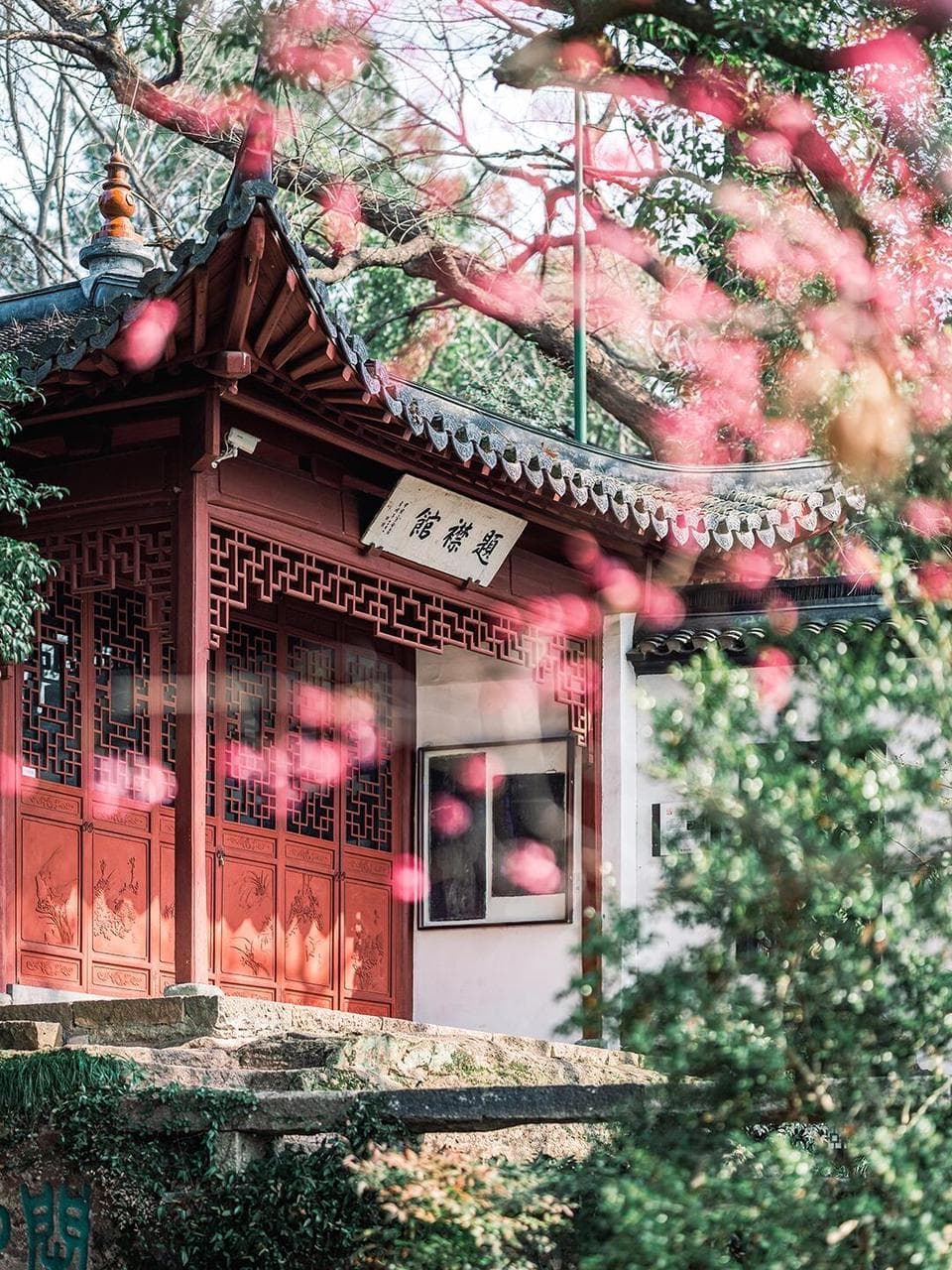 Hangzhou Ultimate: High-Speed Rail Escape &amp; Bespoke Tea 