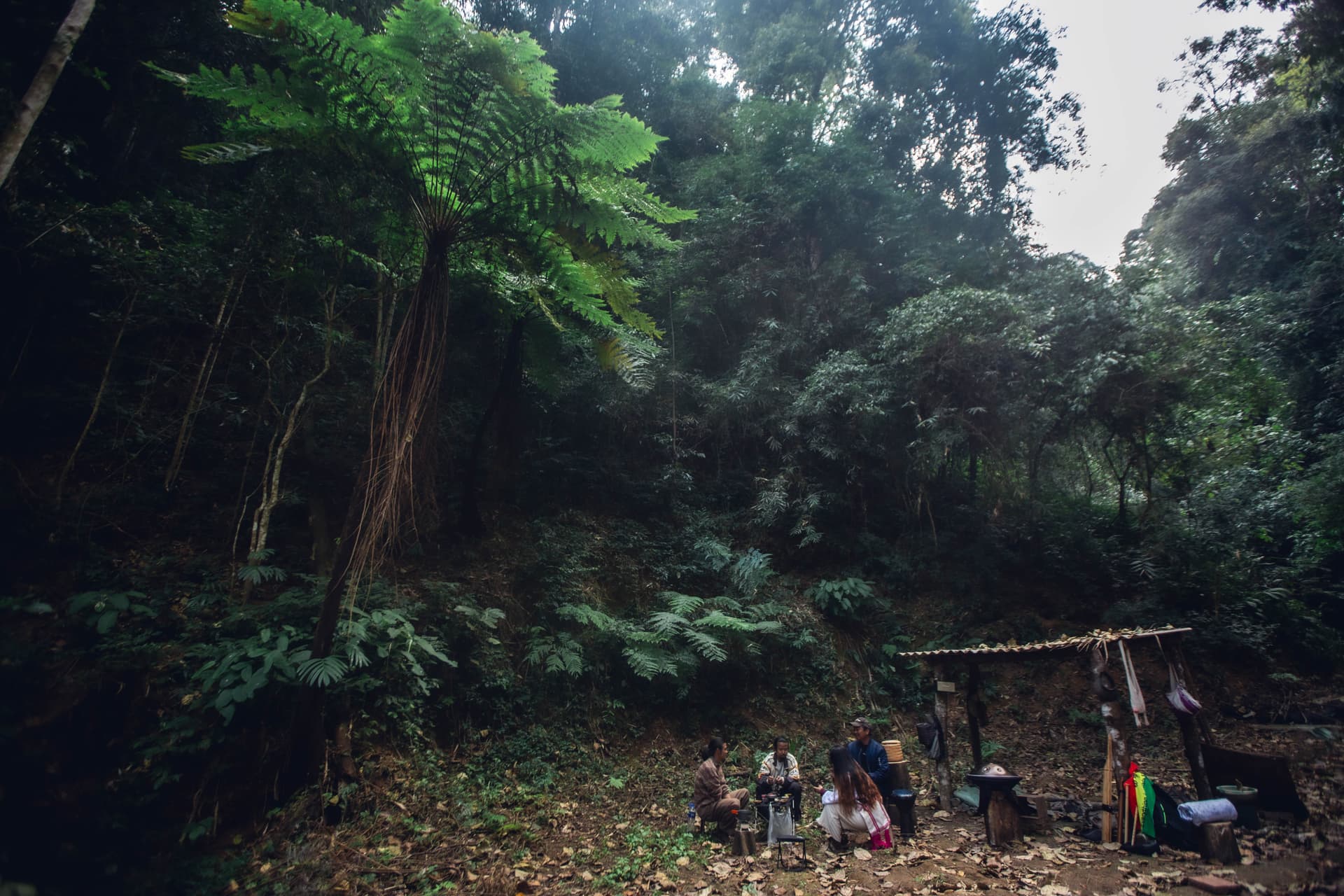 Trek de Rainforest de Jingmai Mountain – Mangjing Village (6 Horas) 3