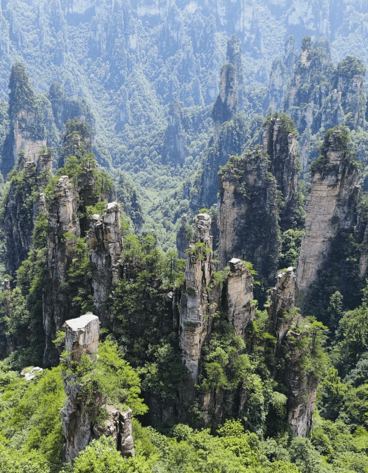 Opciones de Tour Destacadas de Zhangjiajie de 1 a 3 Días 3