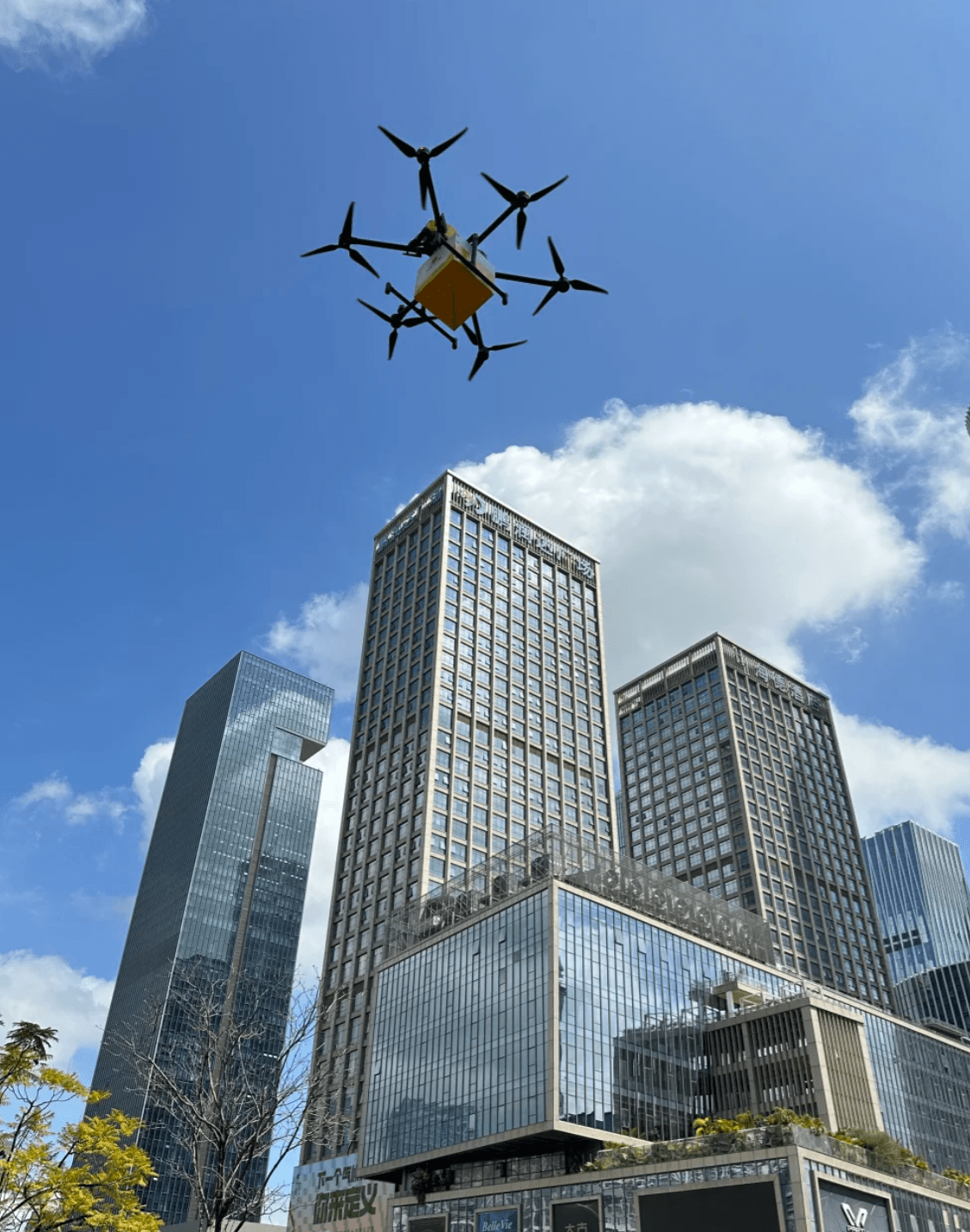 Guía de Experiencia de Entrega de Drones en Shenzhen. Cómo Pedir Entrega de Comida por Drone en los Parques de Shenzhen 2