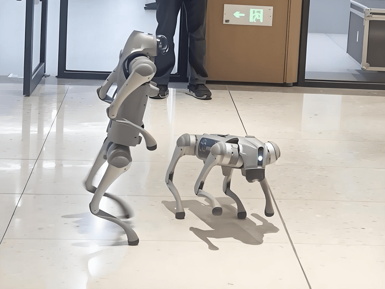 Hangzhou Tech: AI Robots, Auto-Pilot & Alibaba HQ 3