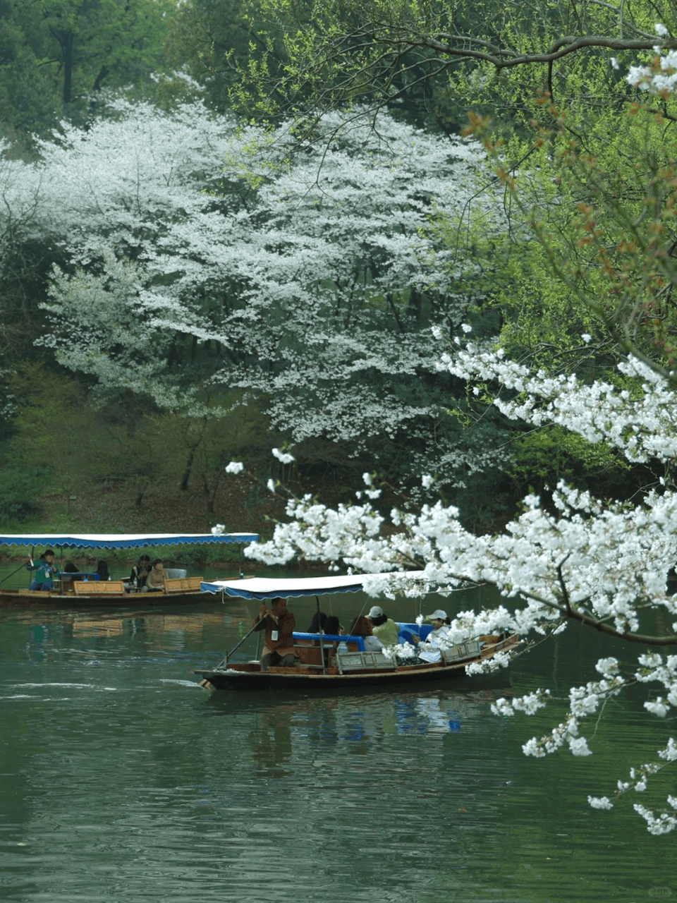 Hangzhou West Lake: The Seasonal Masterpiece (100% Bespoke Private Tour) 3