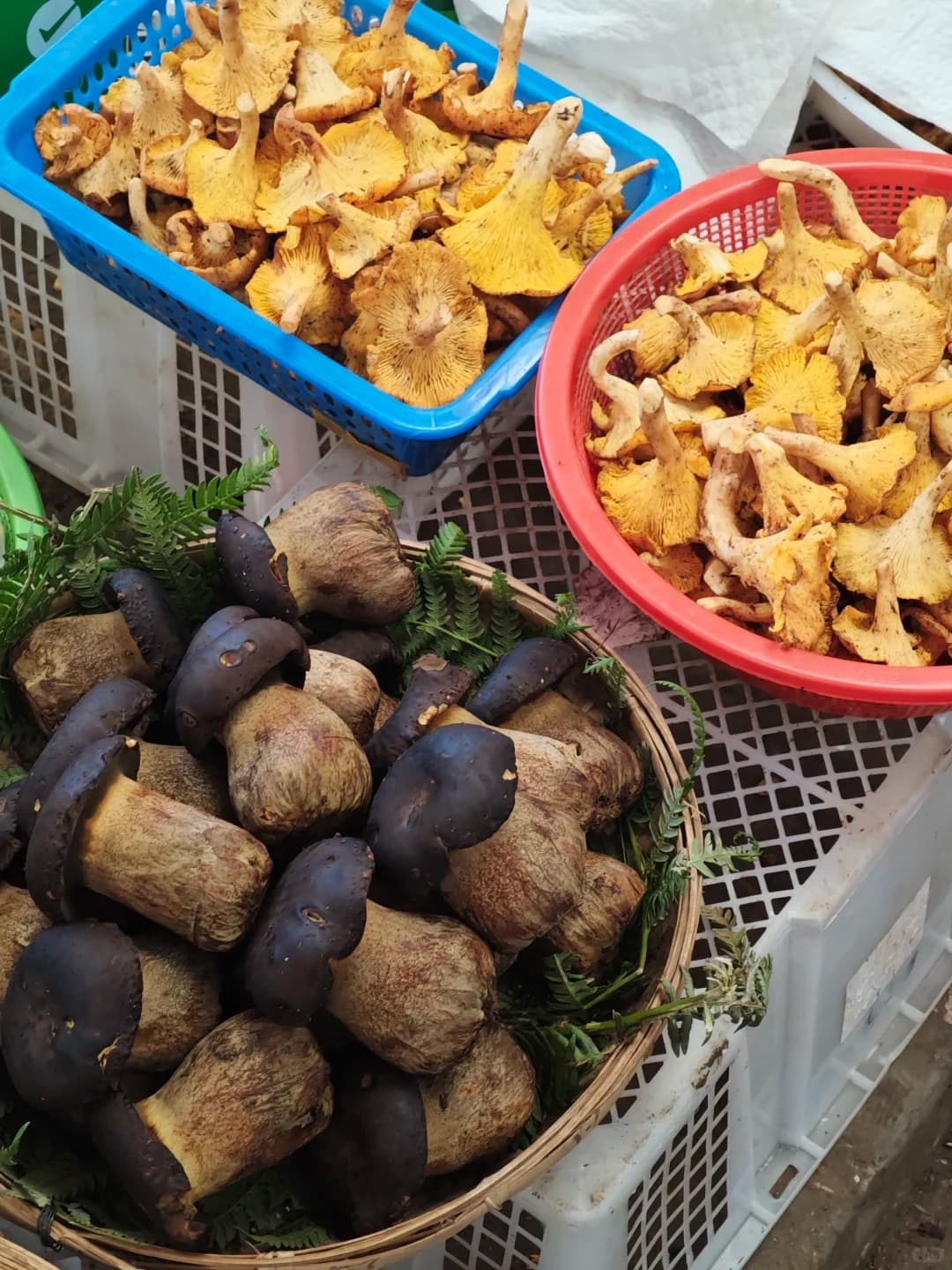 Un Tazón, un Pájaro, una Flor: La Trifecta de Kunming 3