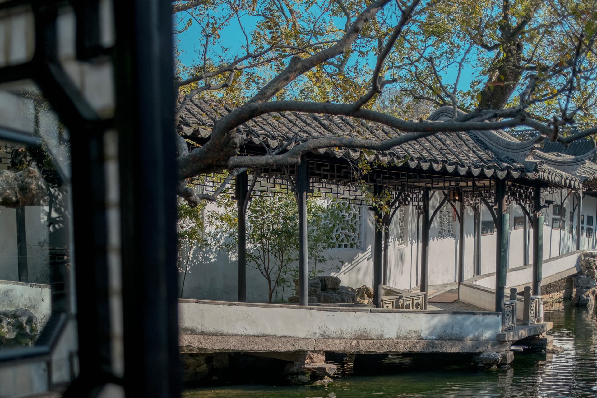 Suzhou Gardens & History&Hidden Alleys, Guided by a local landscape architect. 3