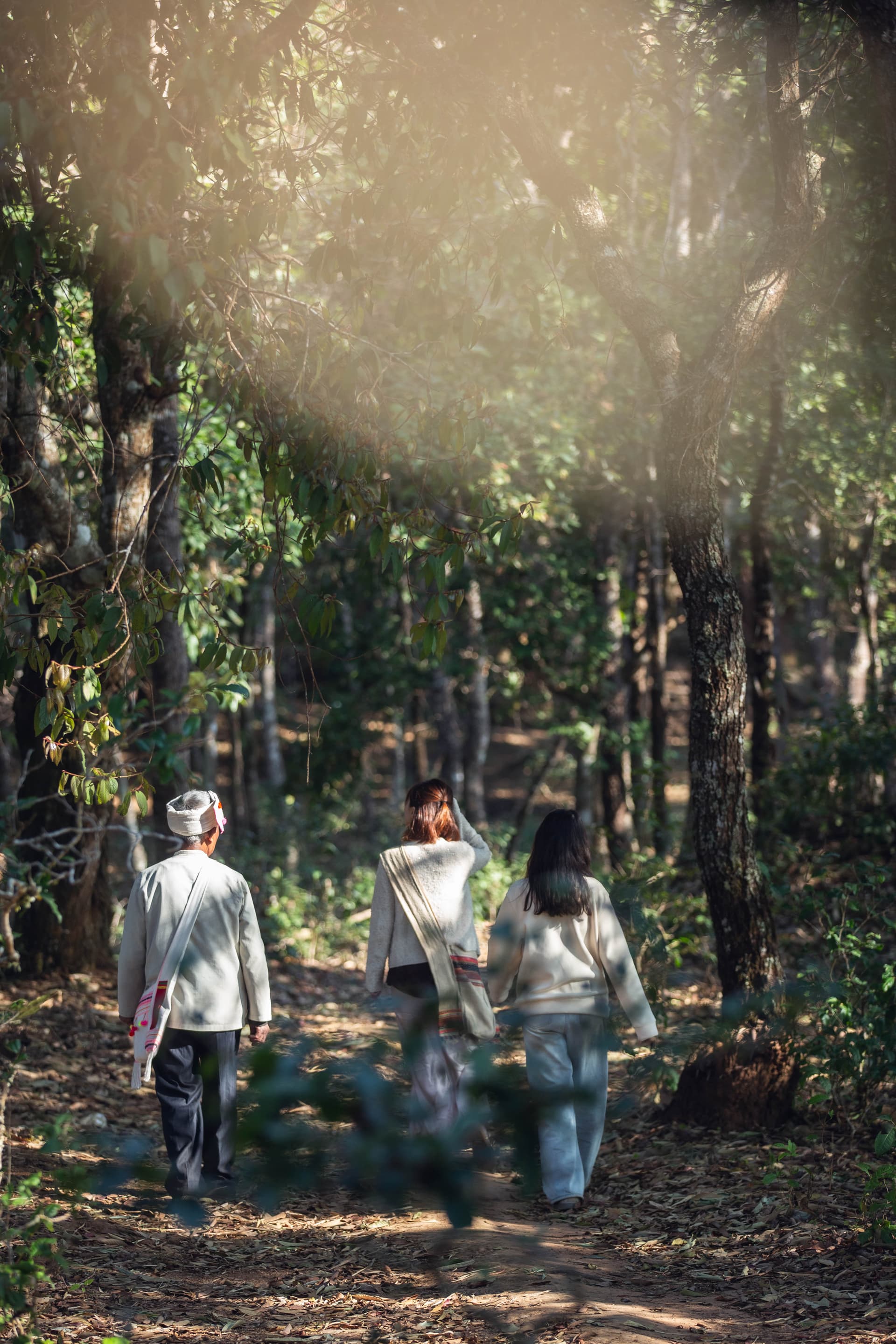 Trek de Rainforest de Jingmai Mountain – Mangjing Village (6 Horas)