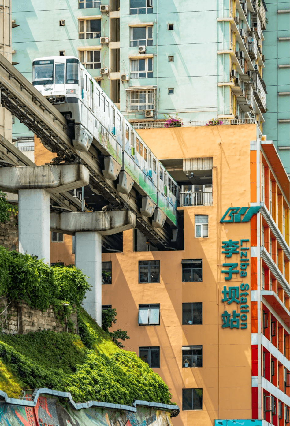2026 Chengdu-Chongqing-Zhangjiajie 8-Day Itinerary