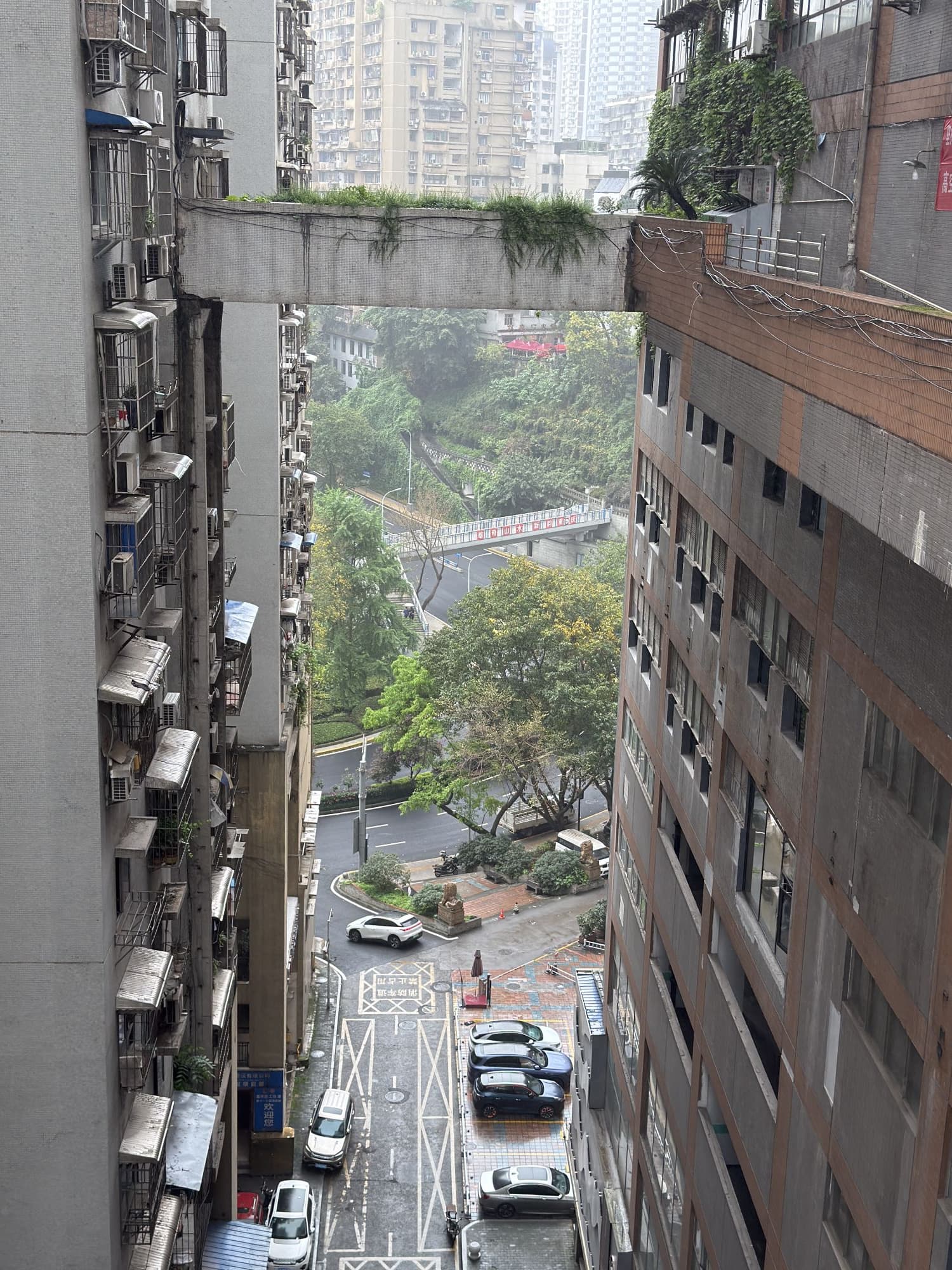 Foto de la opinión 9