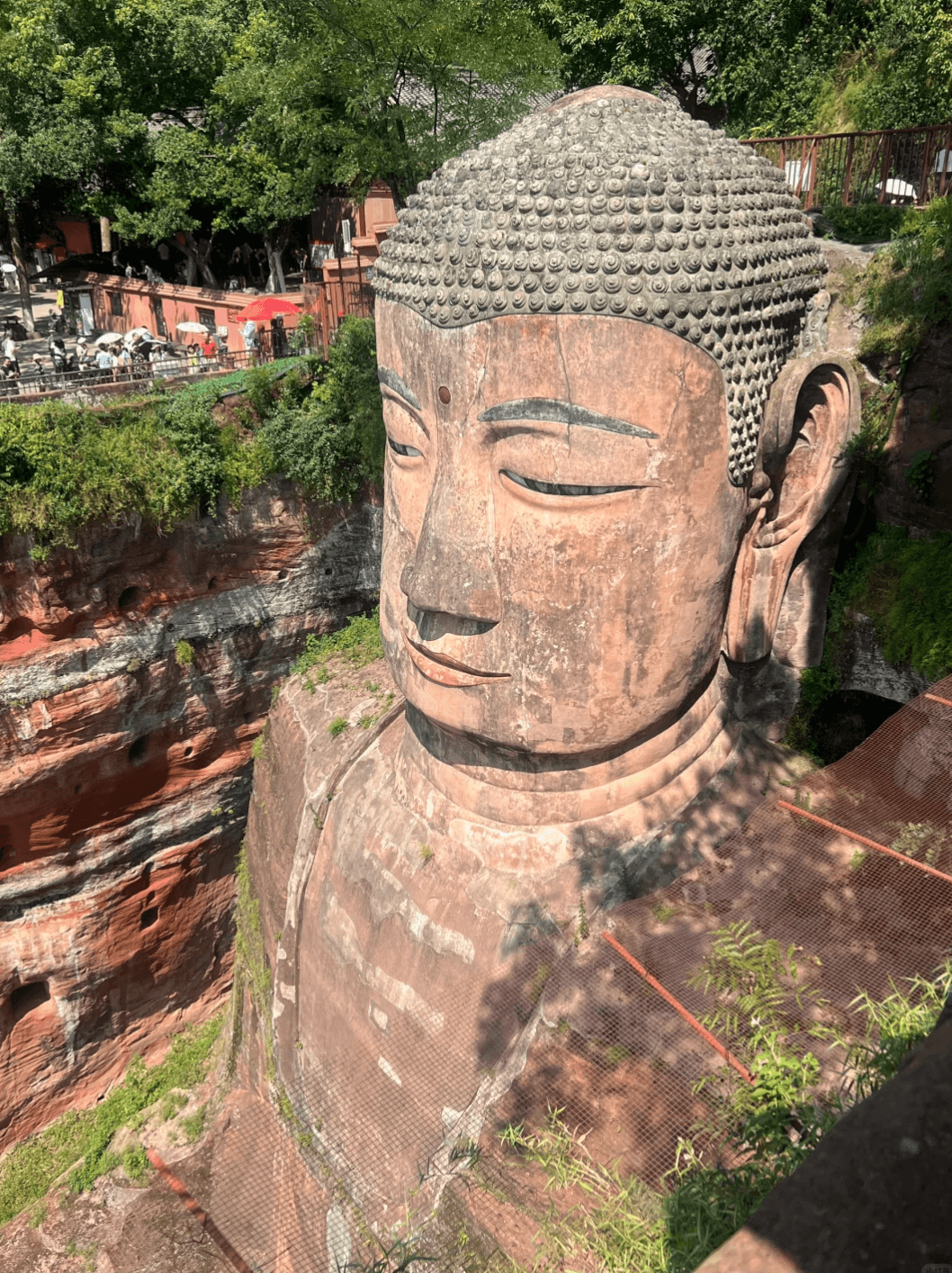 Leshan Giant Buddha Day Tour from Chengdu