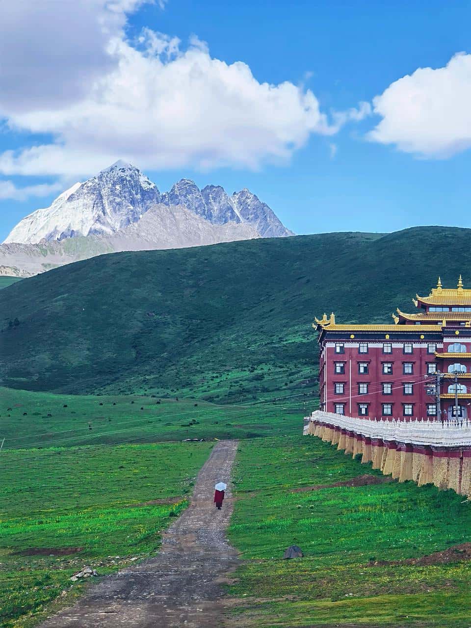 Chengdu to Tagong: Tibetan Nomad Home Visit & Family Dinner(One-Day Tour)