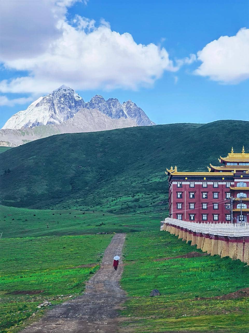 Chengdu to Tagong: Tibetan Nomad Home Visit & Family Dinner(One-Day Tour)