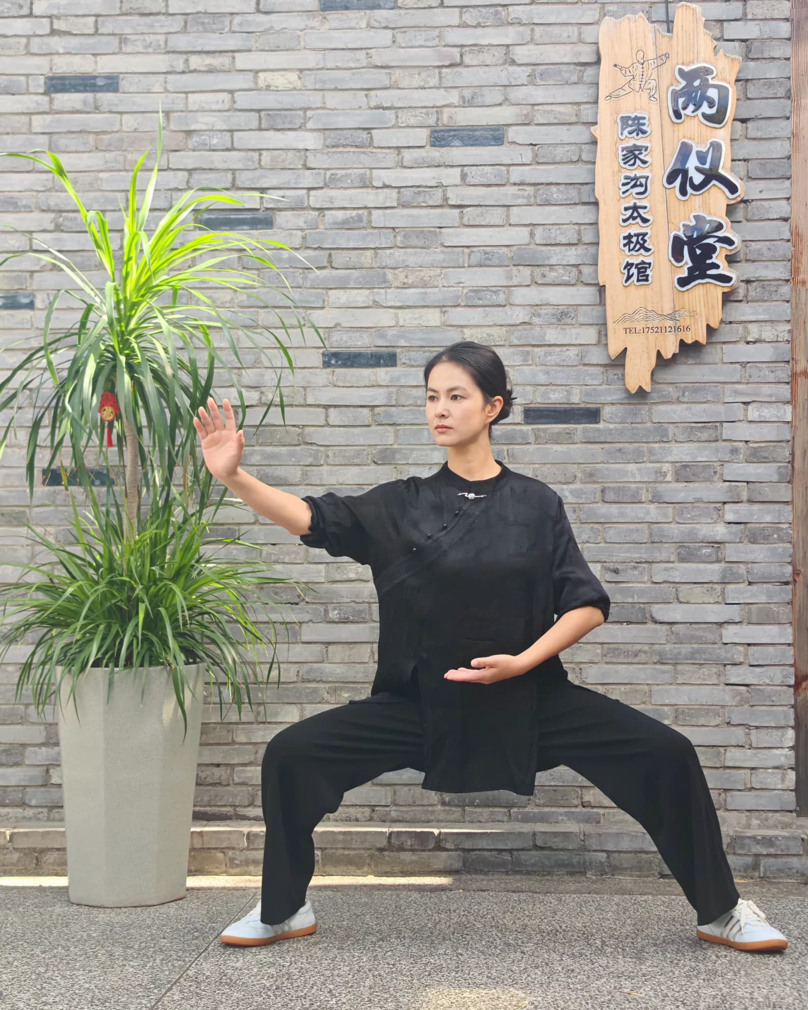 The "Be a Chinese" Wellness Day: Tai Chi, Pulse Reading & TCM 2