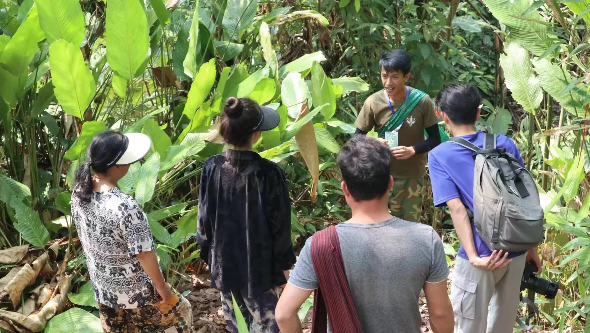Xishuangbanna Naka Rainforest Trek: Stream Hiking & Jungle Adventure