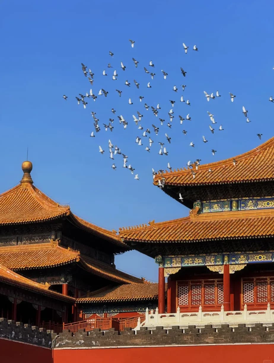 Beijing Classic One-Day Tour: Tiananmen Square, Forbidden City & Jingshan Park 3