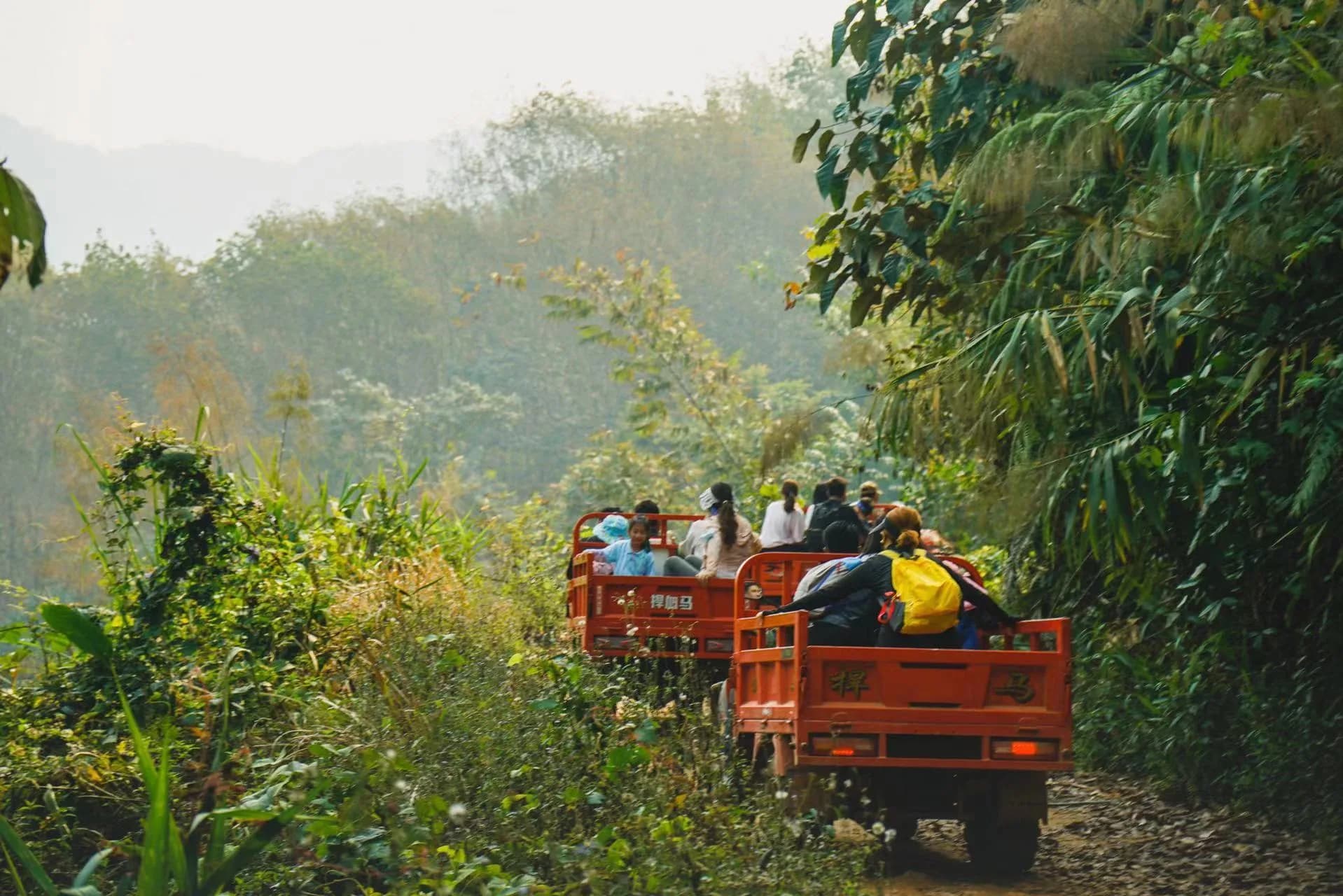 Xishuangbanna Naka Rainforest Trek: Stream Hiking & Jungle Adventure 3