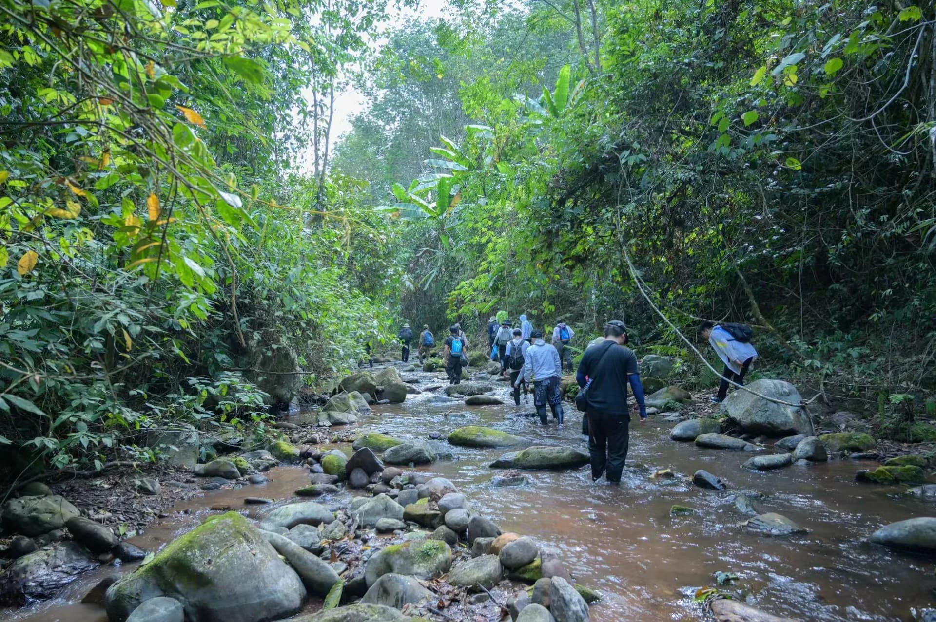 Xishuangbanna Naka Rainforest Trek: Stream Hiking & Jungle Adventure 2